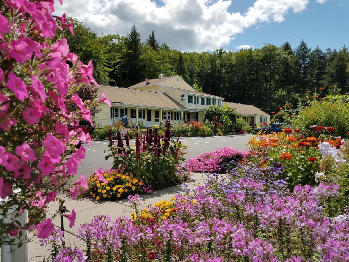 Bay Top Motel Вейрс-Бич Экстерьер фото